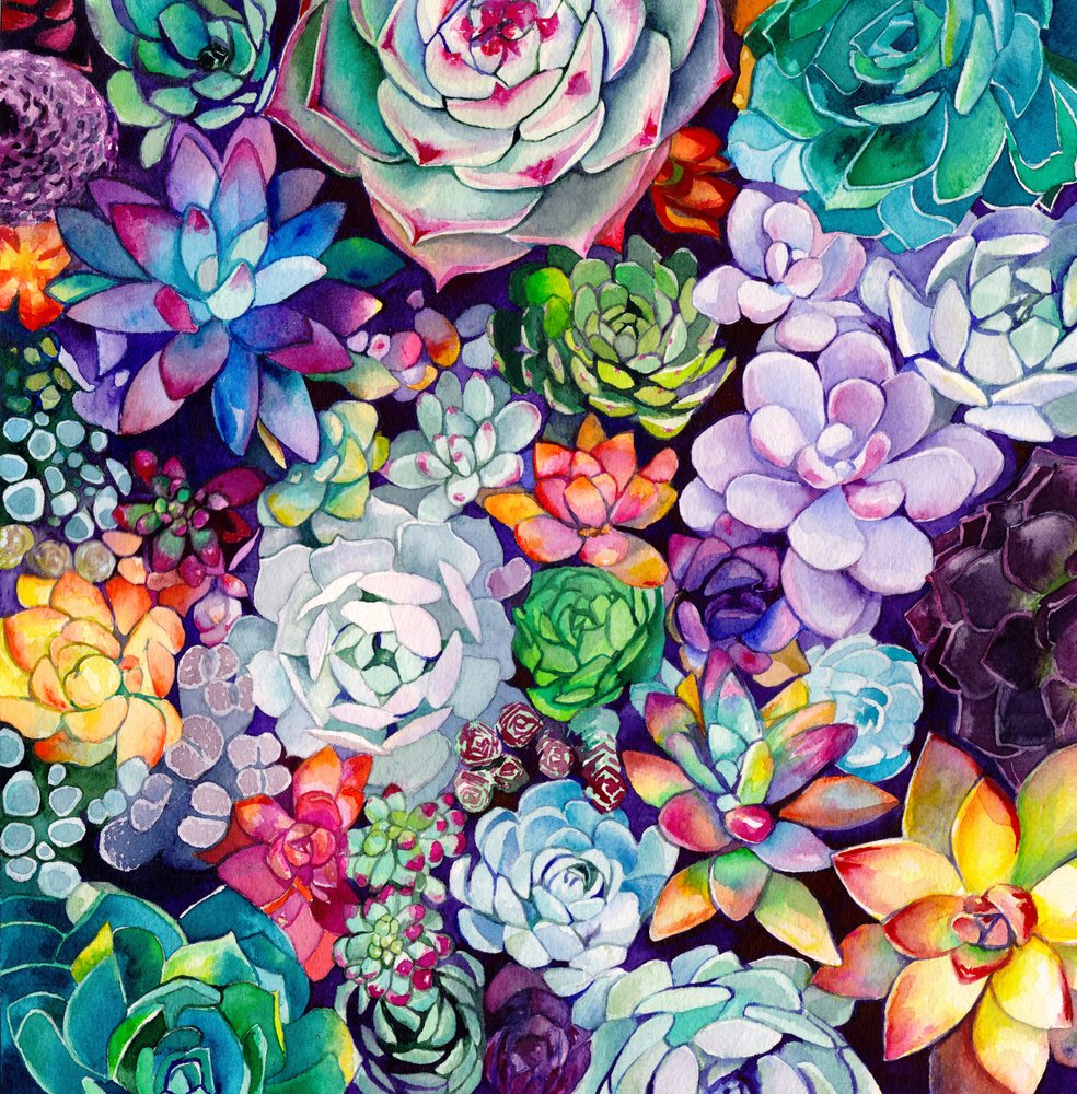 Giardino di piante grasse dai colori vivaci da Christine Lindstrom