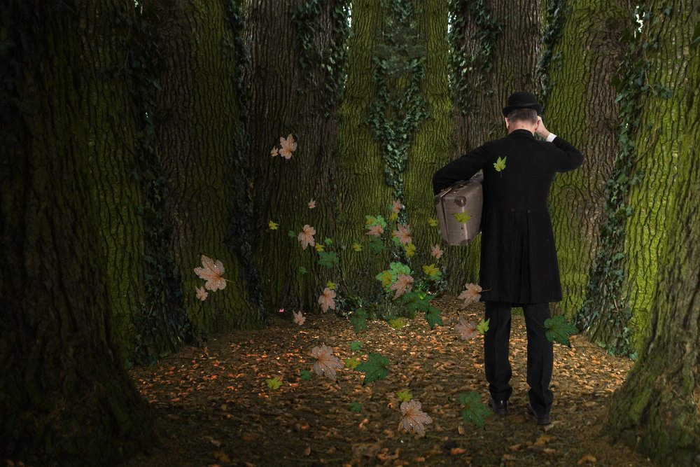 Il viaggio di un uomo nella foresta da Christine von Diepenbroek