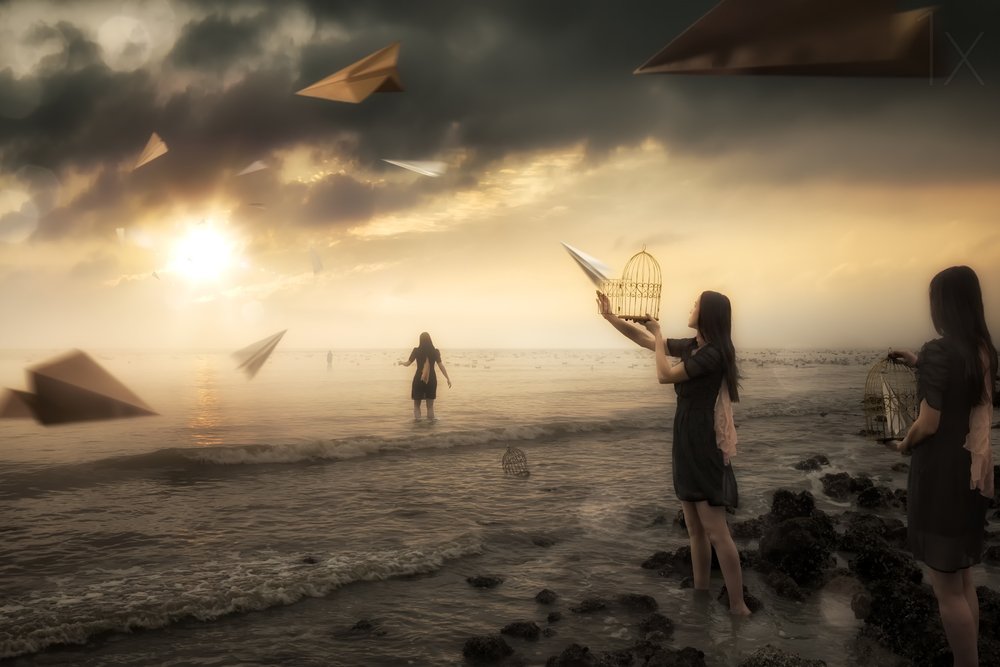 I sogni di Freedom: aeroplani di carta da Christophe Kiciak