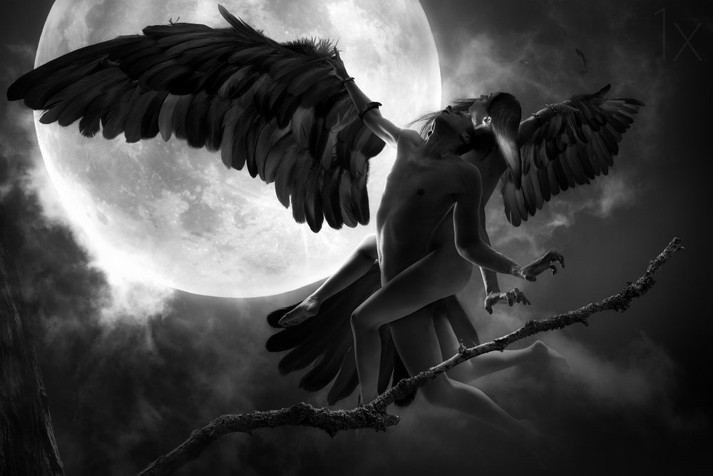 Abbraccio alato al chiaro di luna da Christophe Kiciak