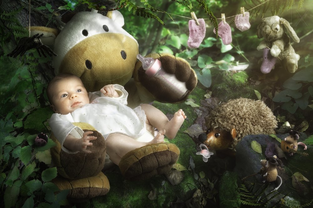 Dolci amici del bosco da Christophe Kiciak