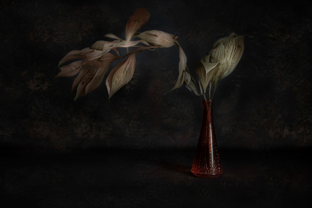Natura morta botanica in tonalità scure da Cicek Kiral