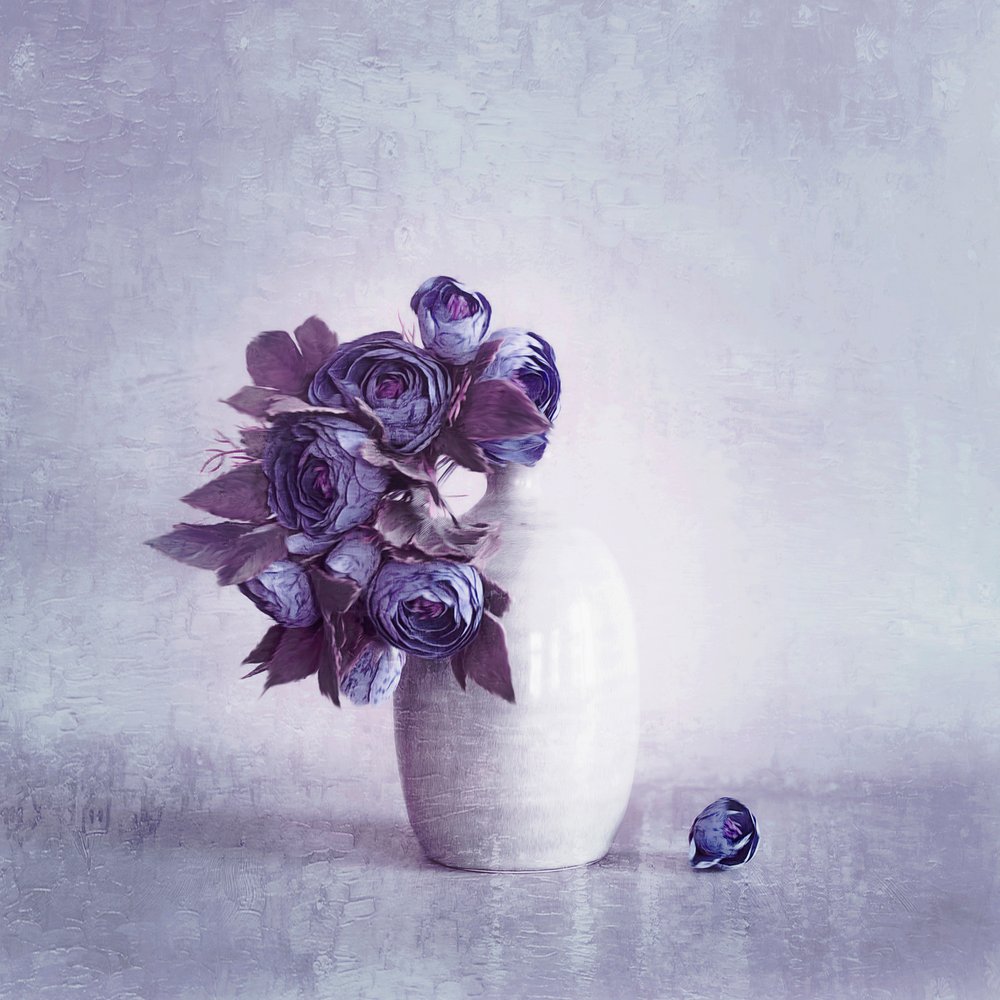 Delicati fiori viola da Cicek Kiral