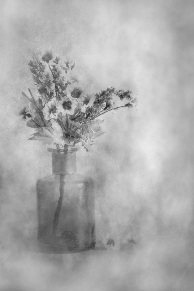 Fiori da sogno in bianco e nero da Cicek Kiral