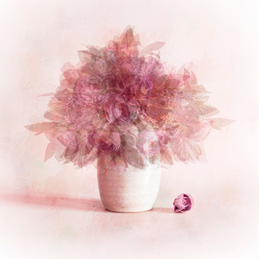 Fiori rosa da sogno da Cicek Kiral