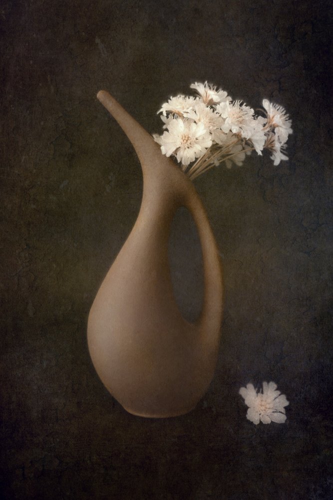 Fiori in un vaso elegante da Cicek Kiral