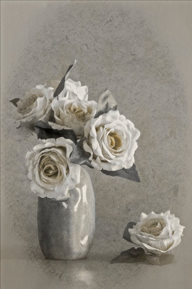 Eleganti rose bianche da Cicek Kiral