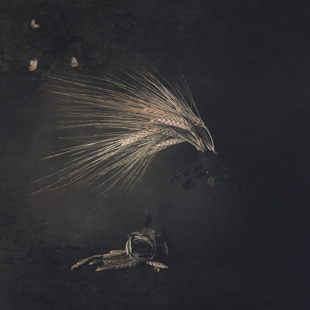 Eteree farfalle di grano da Cicek Kiral