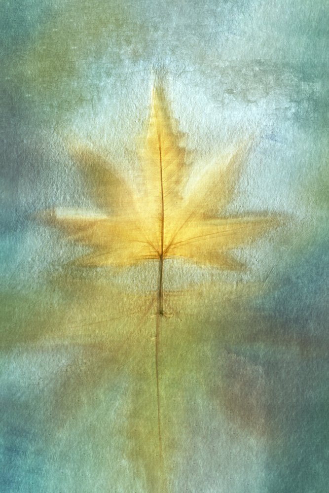 Riflesso d