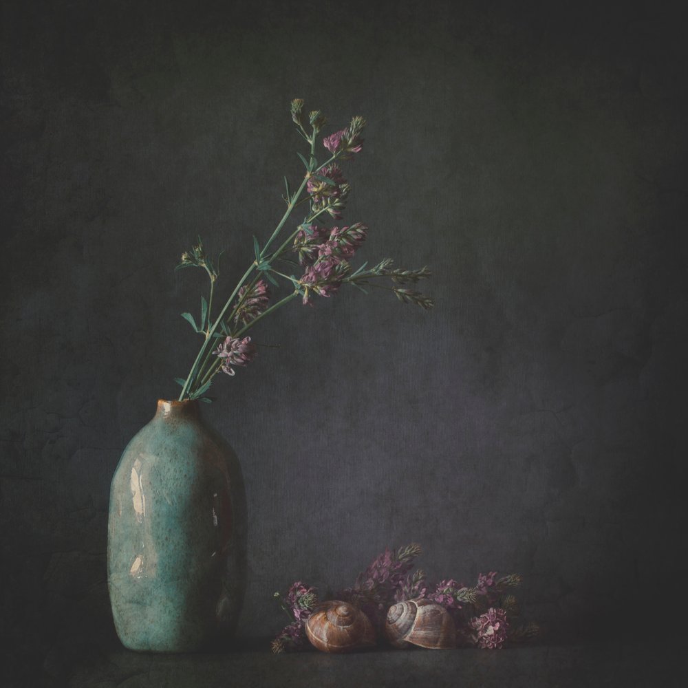 Natura morta botanica di Moody da Cicek Kiral