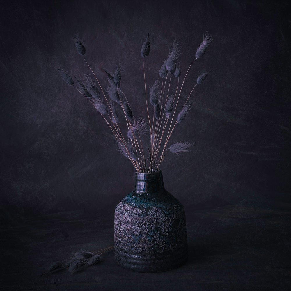 Fiori secchi Moody da Cicek Kiral
