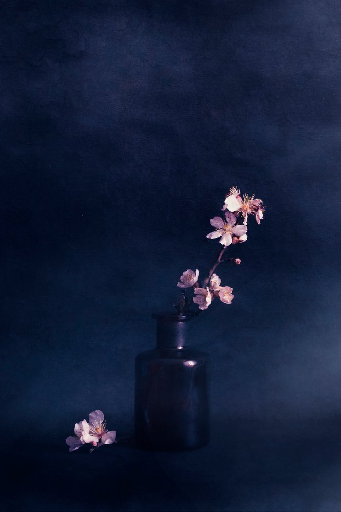Vaso da fiori Moody da Cicek Kiral