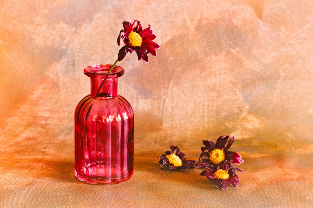 Dalie rosse Moody da Cicek Kiral