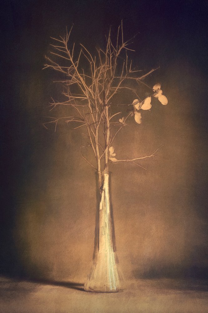 Vaso "Warm Branch" da Cicek Kiral