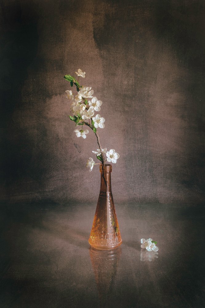 Vaso con fiori di ciliegio bianco da Cicek Kiral