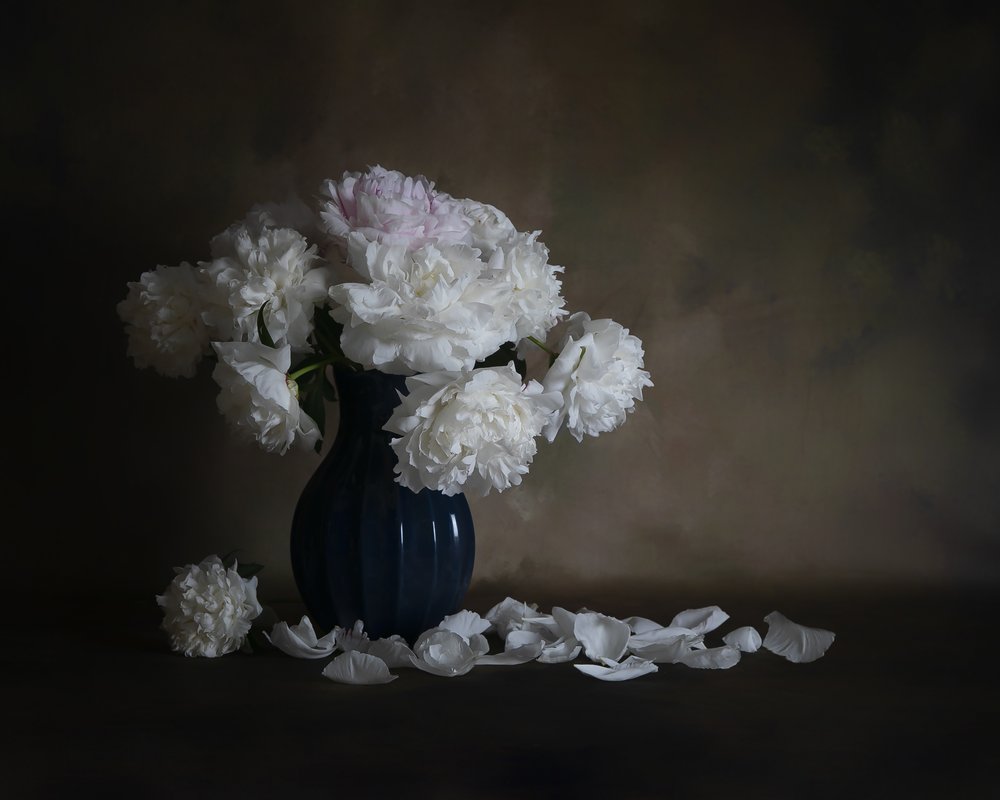 Natura morta con peonie bianche da Cicy Chen