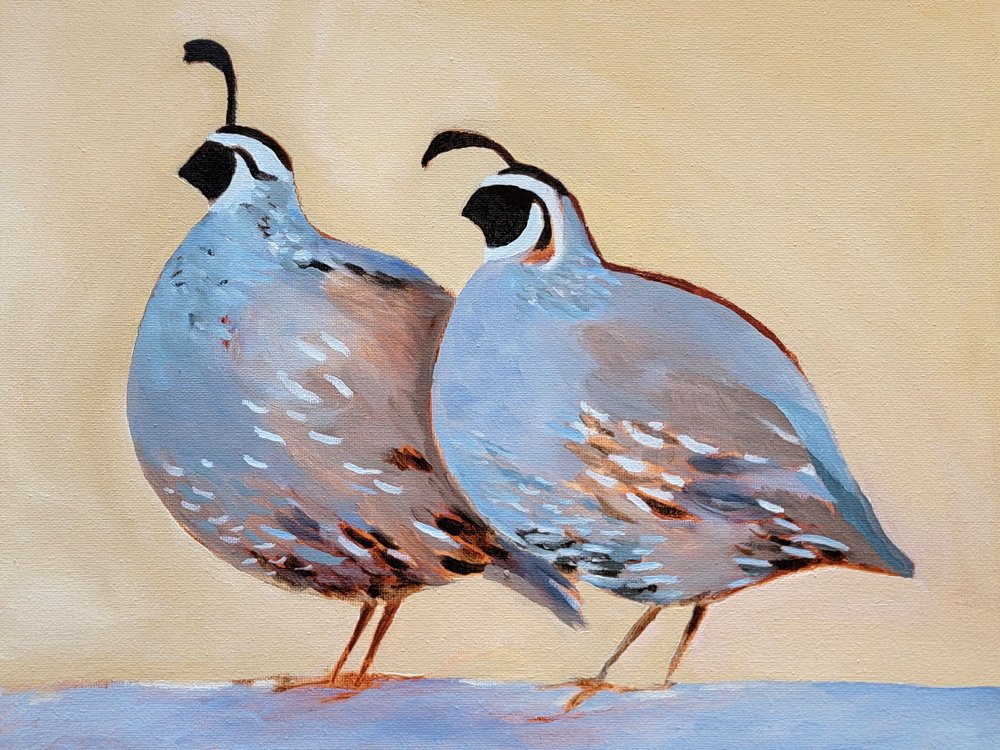 Affascinante coppia di quaglie da Claire Whitehead