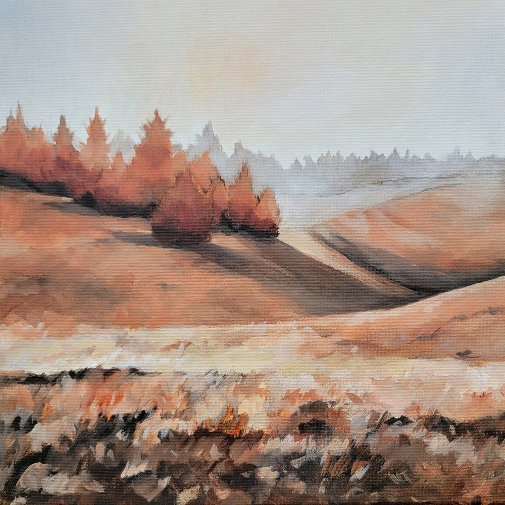 Colline autunnali avvolte dalla nebbia da Claire Whitehead