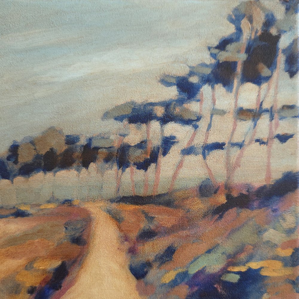 Sentiero tortuoso di campagna da Claire Whitehead
