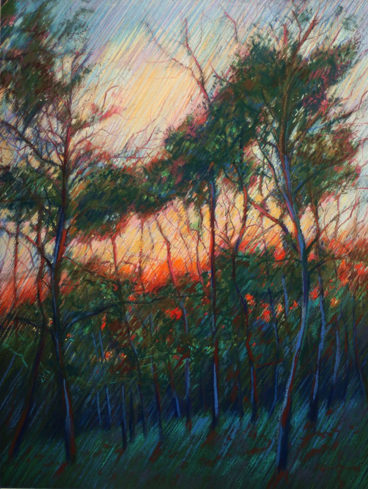 Il bagliore del tramonto nella foresta da Corné Akkers
