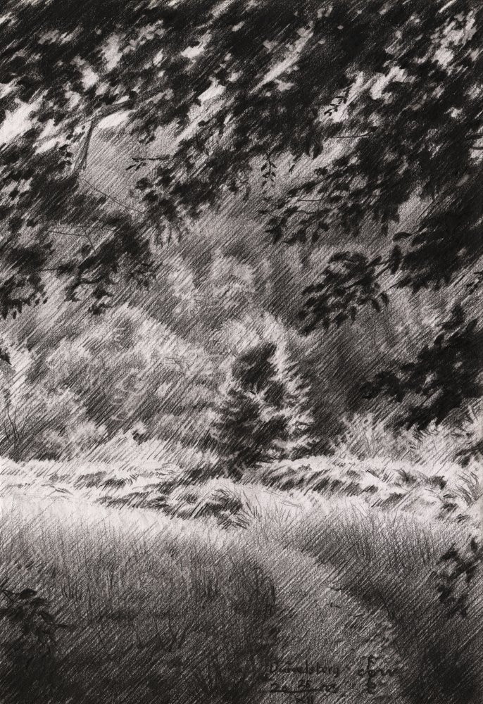 Sentiero tranquillo nella foresta da Corné Akkers