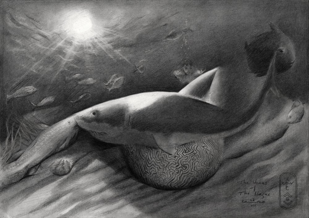 Lo squalo e la sirena da Corné Akkers