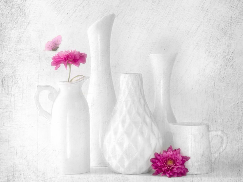 Fiori rosa, vasi bianchi da Cristiano Giani