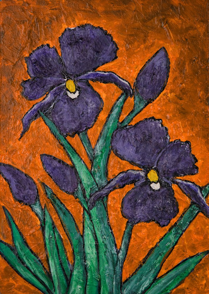 Iris viola dai colori vivaci da Dale Hefer & Family