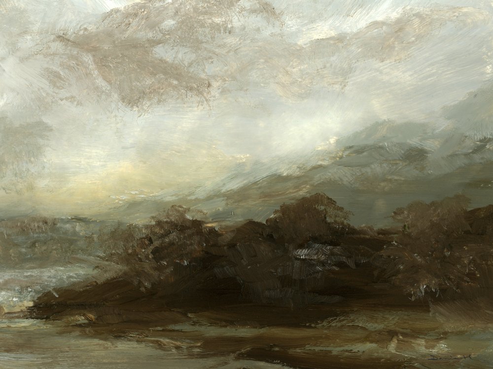 Legno di frassino da Dan Hobday