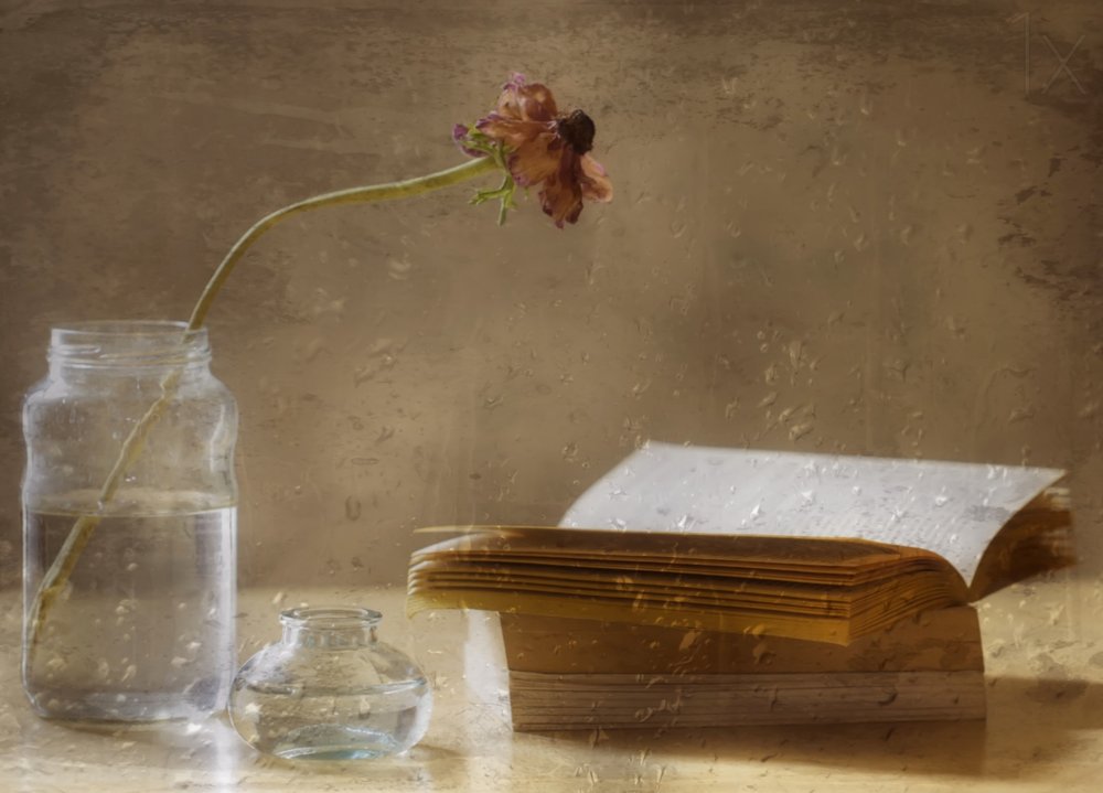 Fioritura malinconica e libro da Delphine Devos