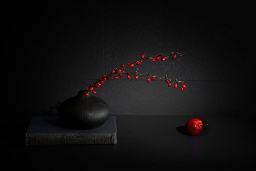 Natura morta con bacche rosse in un vaso nero da Dennis Zhang