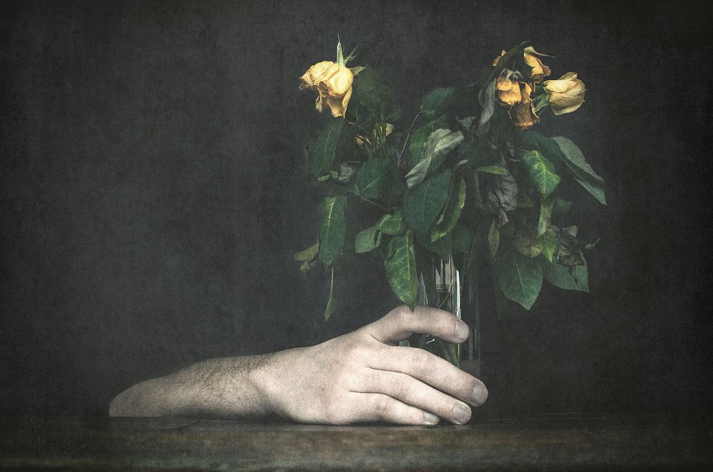 Mano e rose appassite da Desislava Ignatova