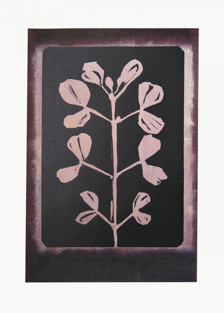 Sagoma botanica scura da Doris Schmitz