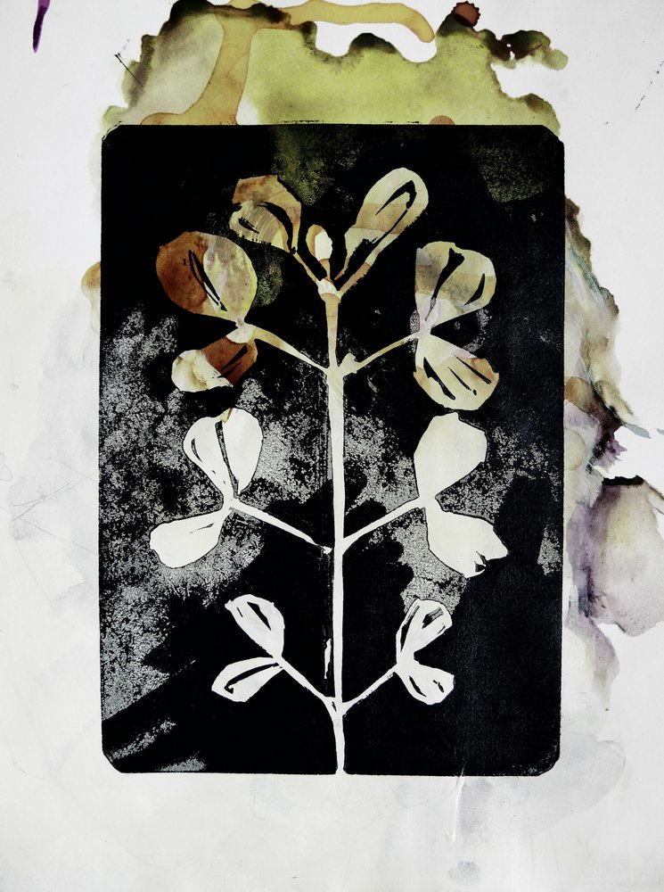 Forma botanica terrosa da Doris Schmitz