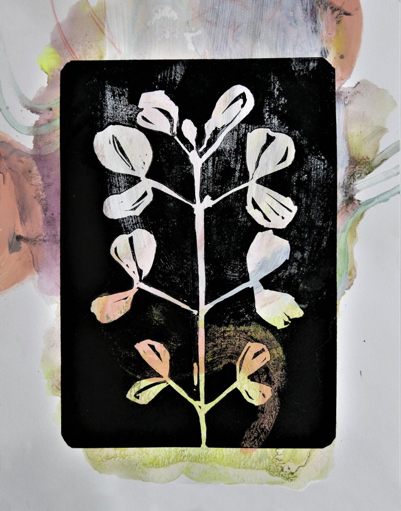 Studio botanico a pastello da Doris Schmitz