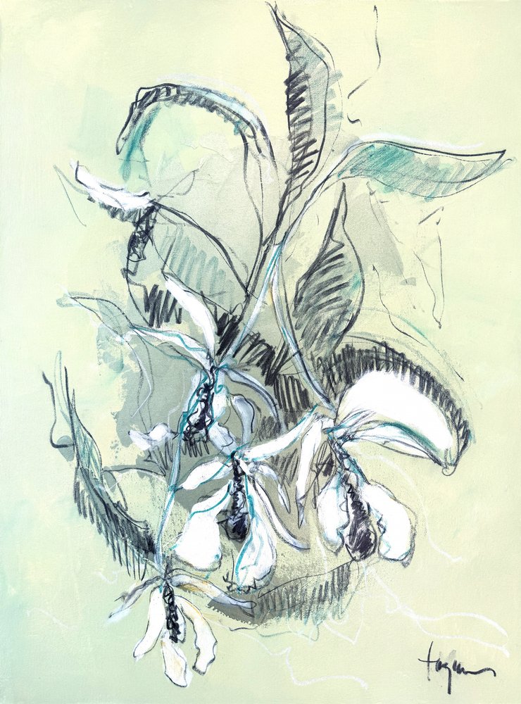 Delicato schizzo di orchidea da Dorothy Fagan