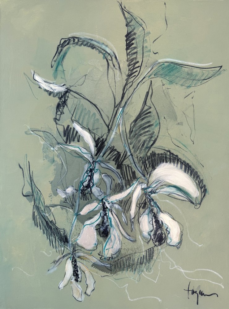 Elegante schizzo di orchidea da Dorothy Fagan