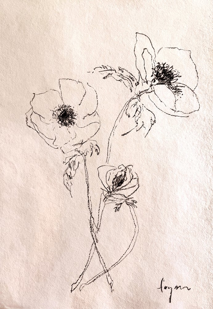Disegno minimalista di un fiore da Dorothy Fagan