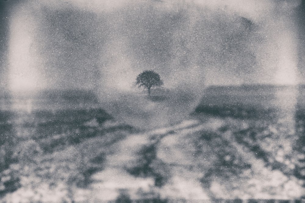Il sentiero verso l