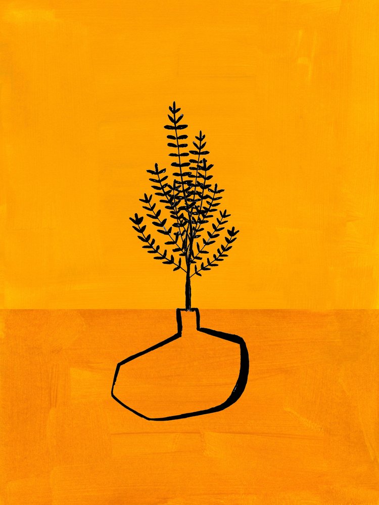 Pianta minimalista e accogliente da Ejaaz Haniff