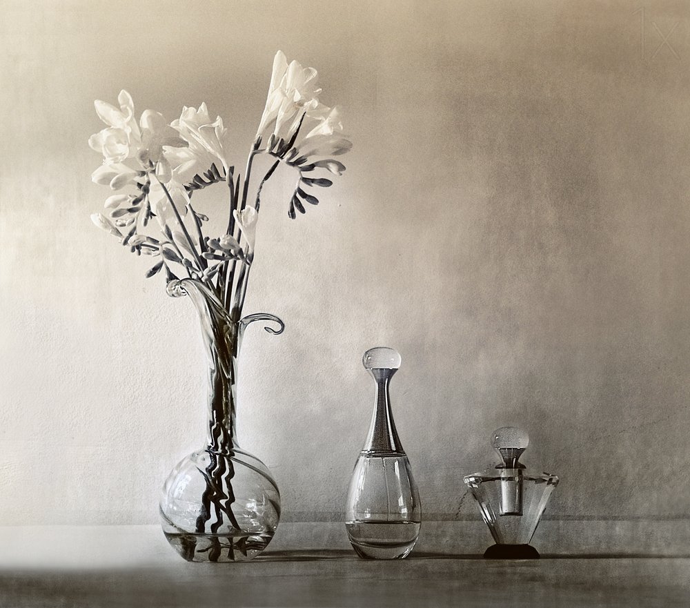 Fiori eleganti e profumi da Elena Arjona