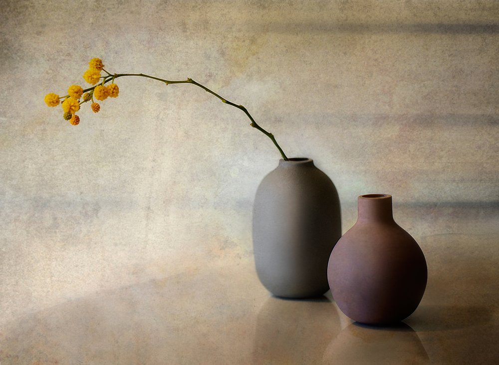 Vasi da fiori in stile minimalista da Elena Arjona