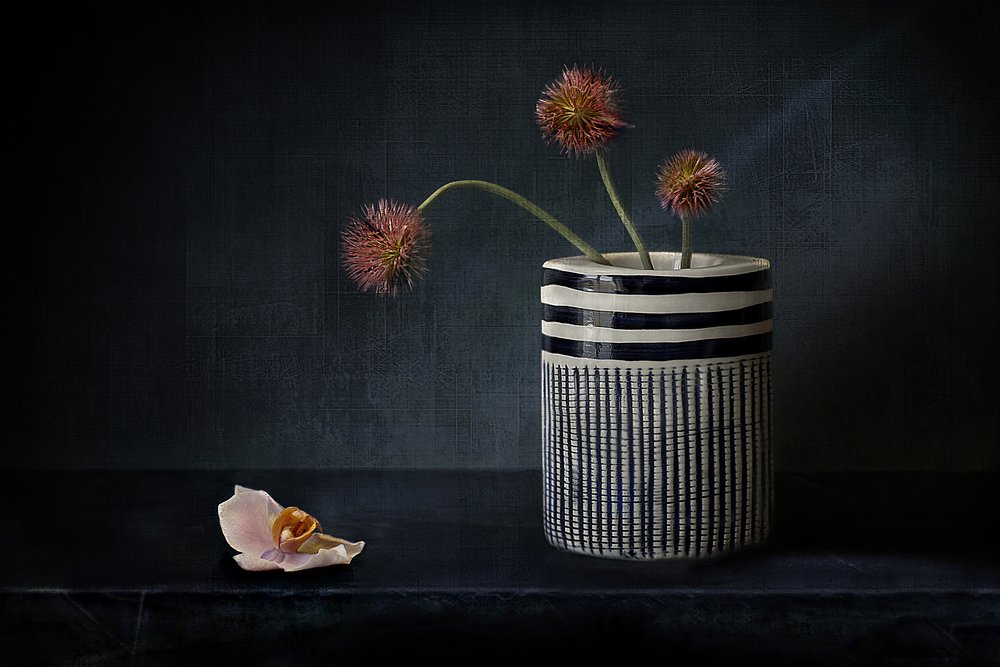 Fiori spigolosi e malinconici da Elena Arjona