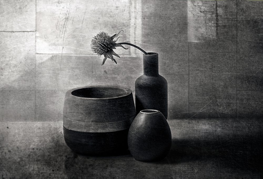 Navi "Moody Thistle" da Elena Arjona