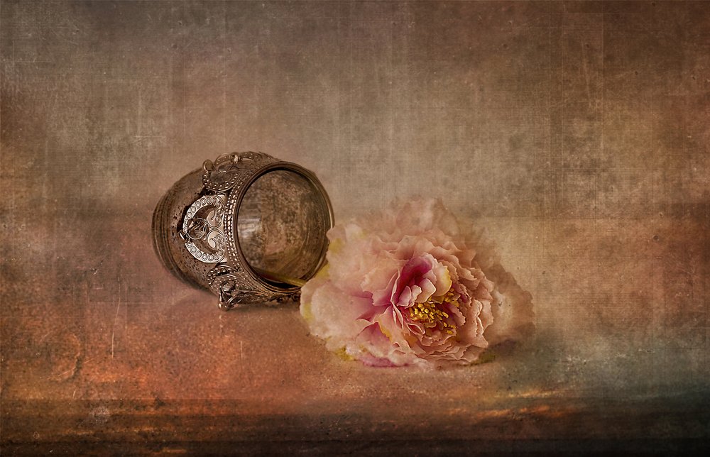 Peonia rosa e ricordo da Elena Arjona
