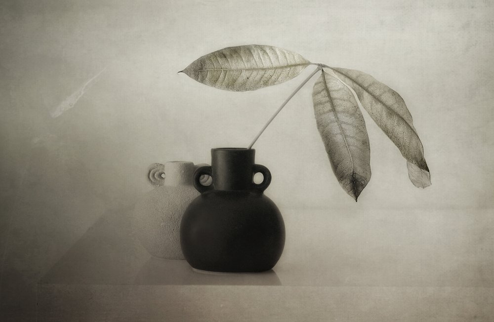 Sereno still life botanico da Elena Arjona