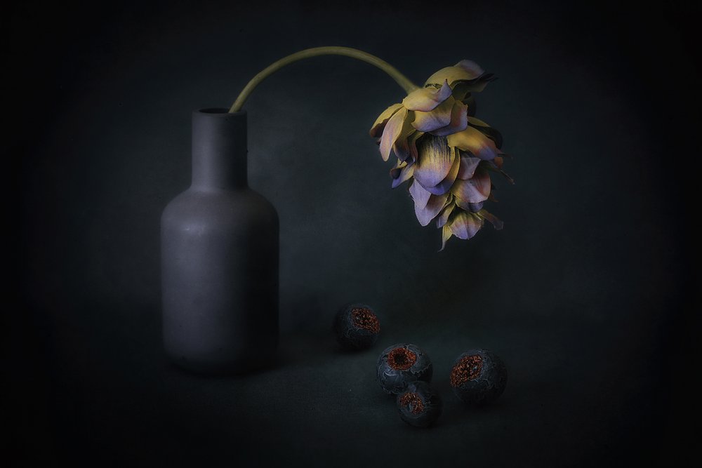 Fiori e bacche in ombra da Elena Arjona