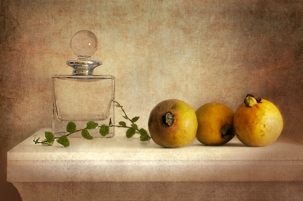 Natura morta vintage con guava da Elena Arjona