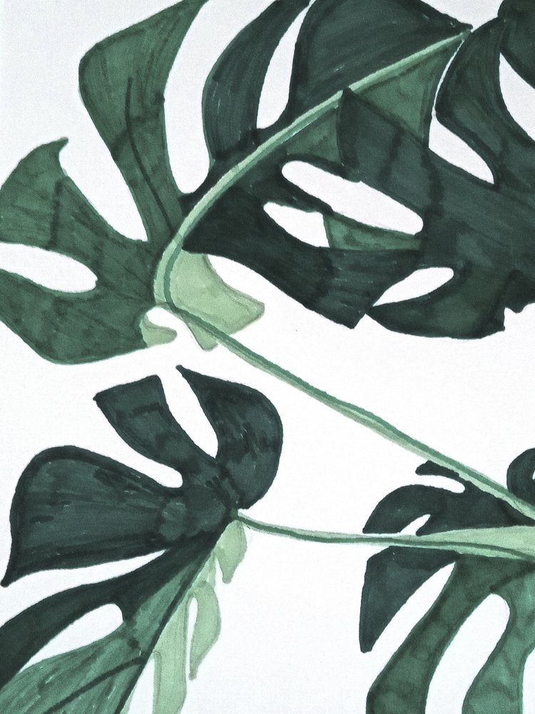 Monstera verde astratta da Elizabeth C