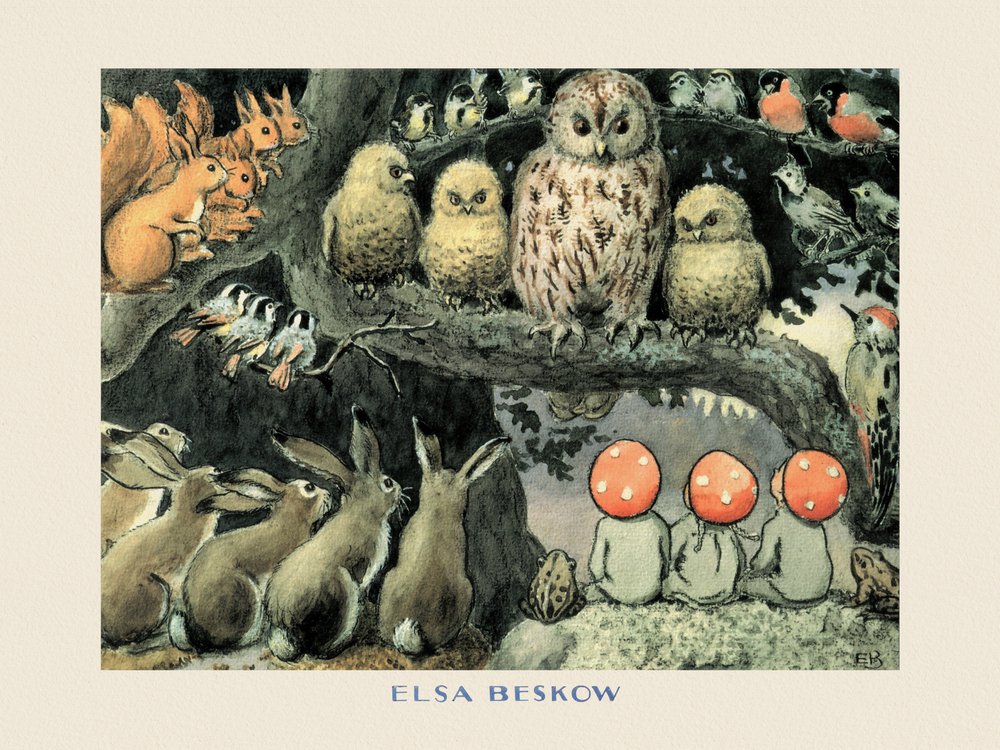 I bambini di Tomtebo  - Gli animali della foresta Boarder da Elsa Beskow